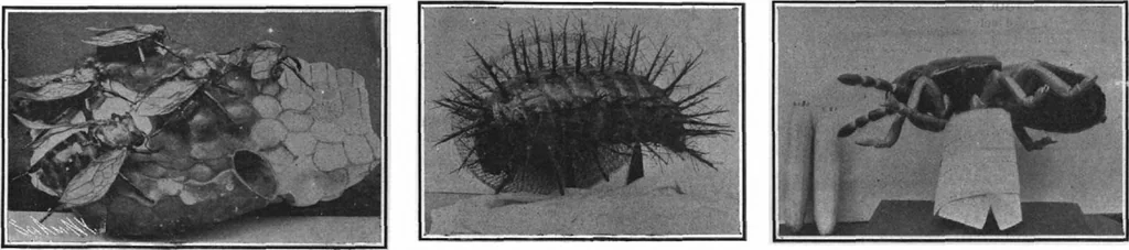 An illustration from Scientific American, Vol. 97, No. 8 (August 1907), 1907, leaf 8
