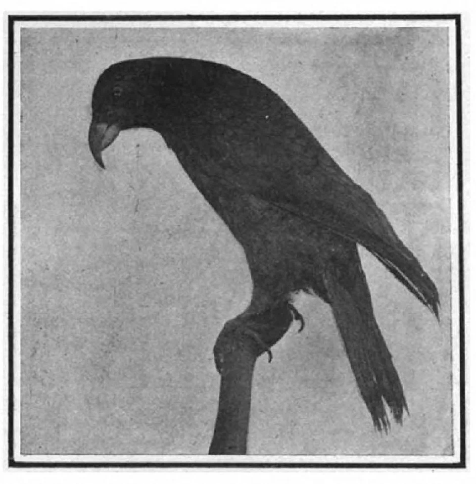An illustration from Scientific American, Vol. 97, No. 9 (August 1907), 1907, leaf 9