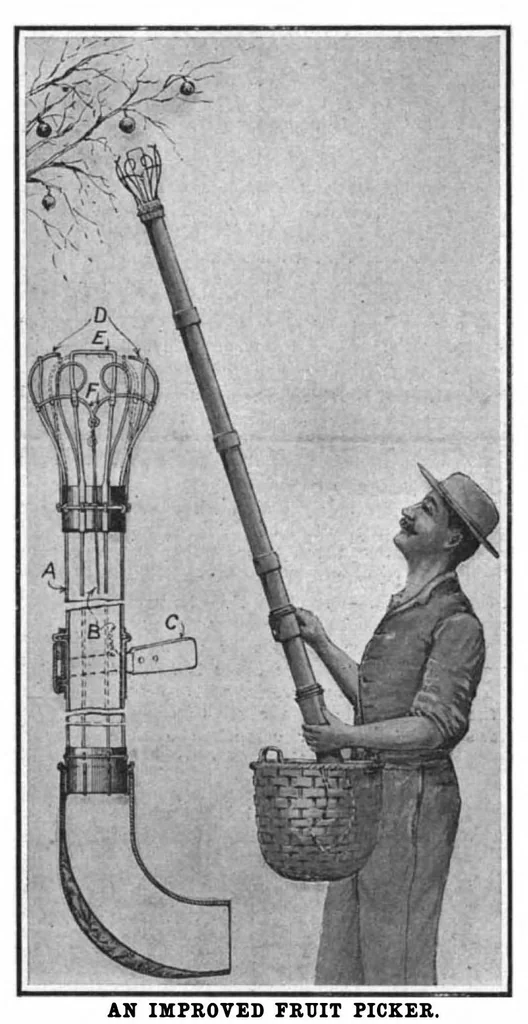 An illustration from Scientific American, Vol. 97, No. 13 (September 1907), 1907, leaf 10
