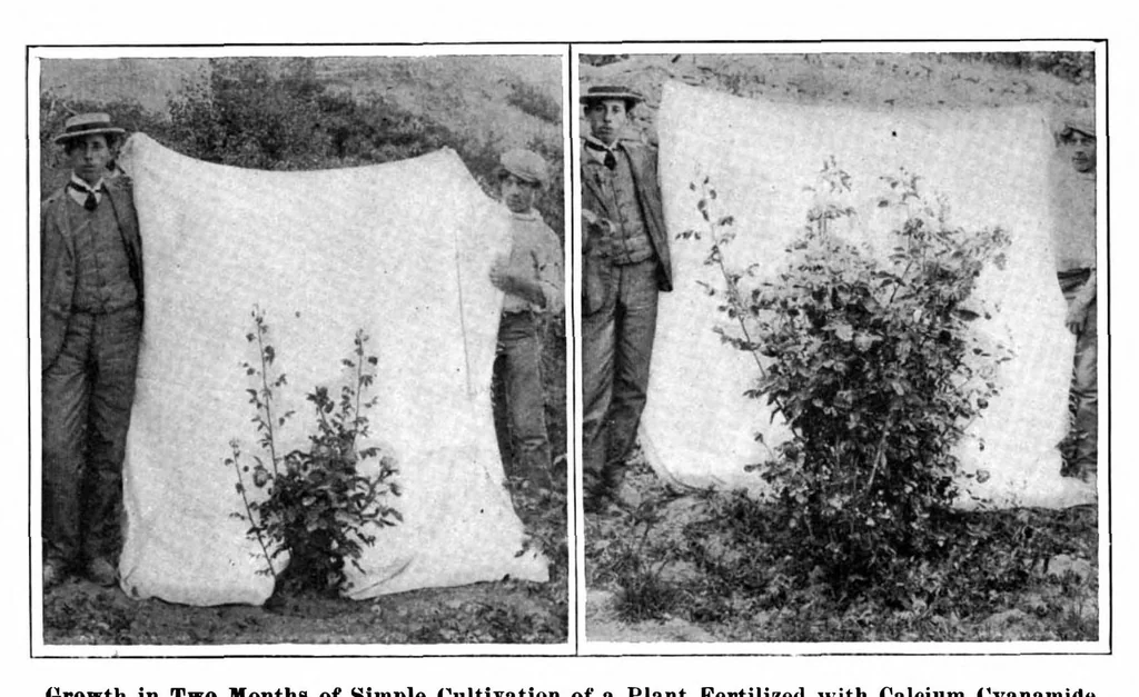 An illustration from Scientific American, Vol. 97, No. 15 (October 1907), 1907, leaf 3