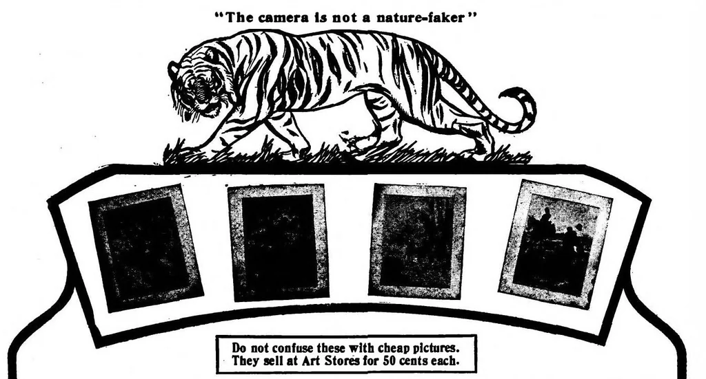 An illustration from Scientific American, Vol. 97, No. 22 (November 1907), 1907, leaf 12