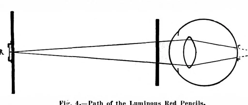 An illustration from Scientific American, Vol. 97, No. 25 (December 1907), 1907, leaf 8
