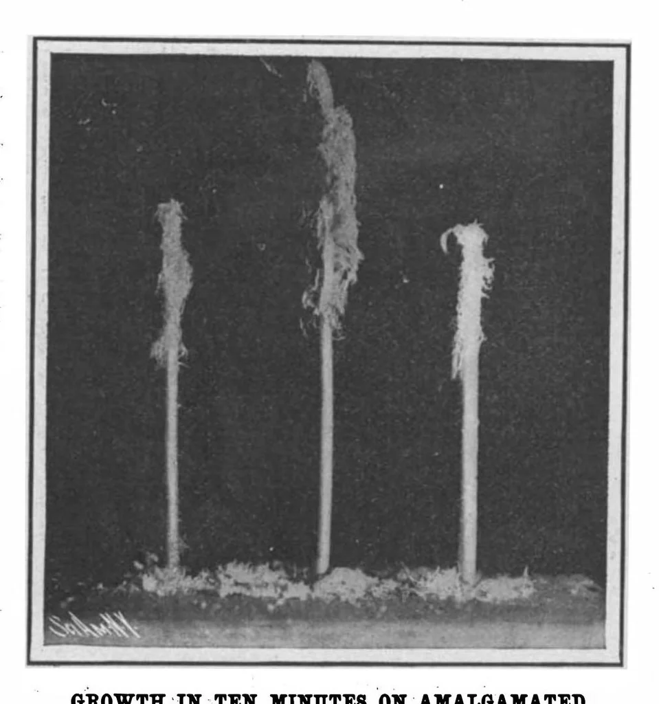 An illustration from Scientific American, Vol. 98, No. 2 (January 1908), 1908, leaf 6