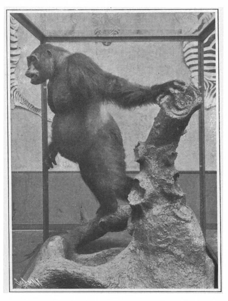 An illustration from Scientific American, Vol. 98, No. 5 (February 1908), 1908, leaf 10