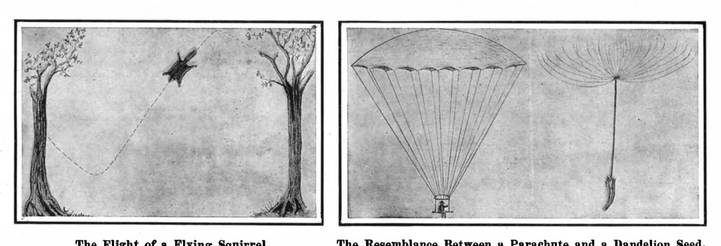 An illustration from Scientific American, Vol. 98, No. 9 (February 1908), 1908, leaf 6