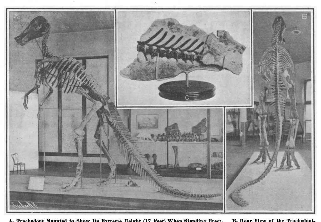 An illustration from Scientific American, Vol. 98, No. 15 (April 1908), 1908, leaf 10