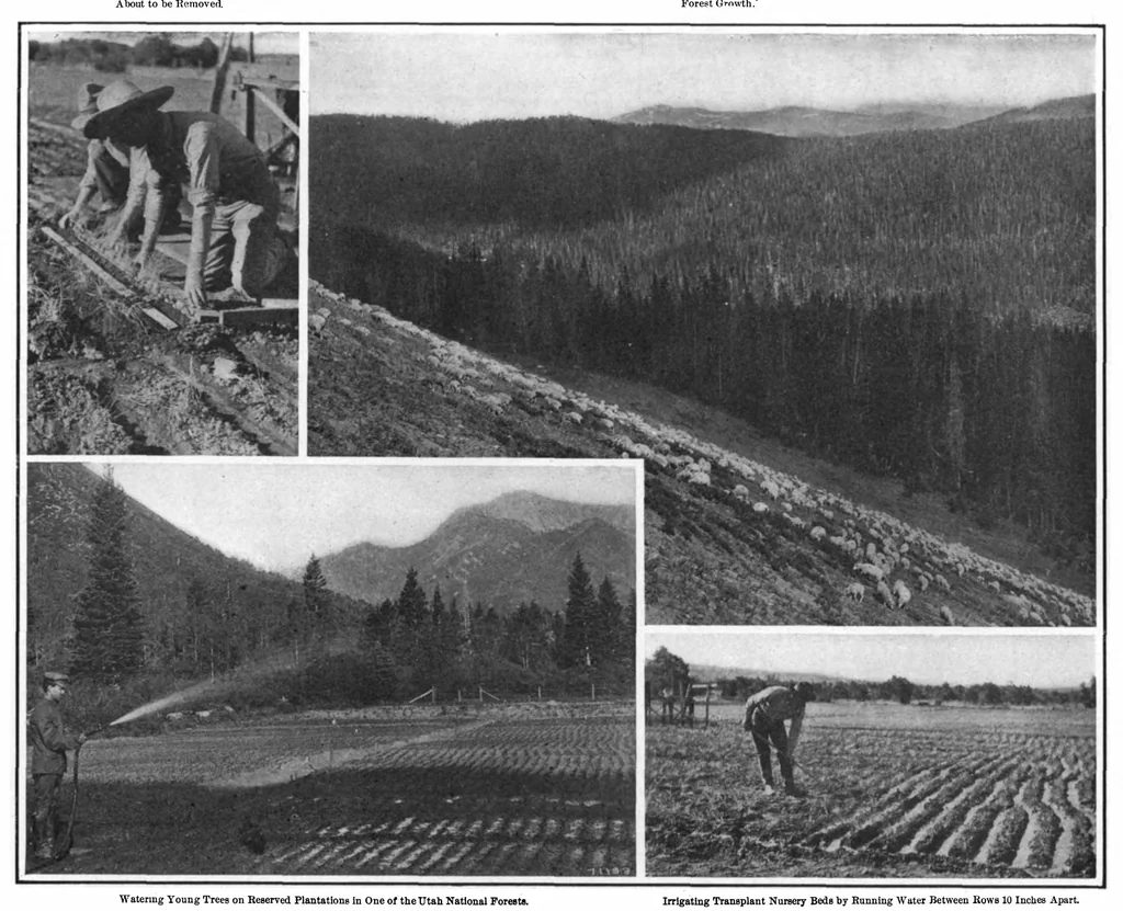 An illustration from Scientific American, Vol. 98, No. 17 (April 1908), 1908, leaf 7