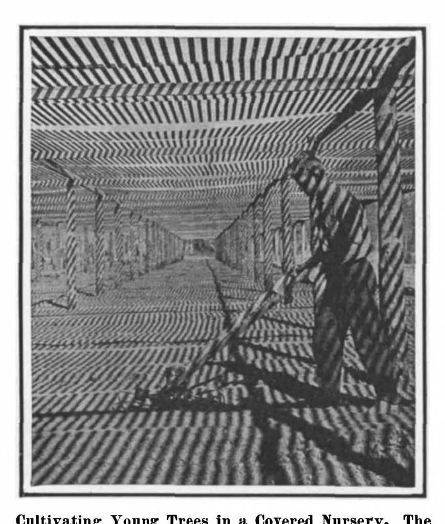An illustration from Scientific American, Vol. 98, No. 17 (April 1908), 1908, leaf 7