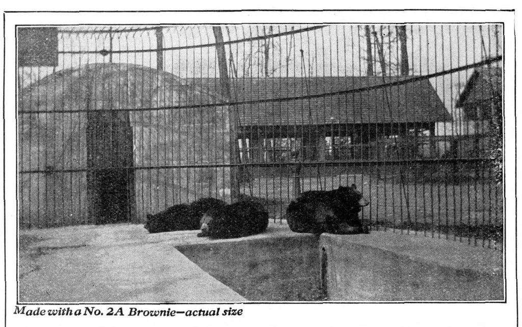 An illustration from Scientific American, Vol. 98, No. 19 (May 1908), 1908, leaf 16