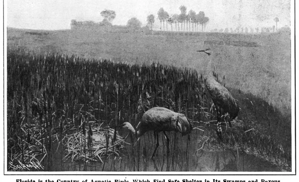 An illustration from Scientific American, Vol. 98, No. 19 (May 1908), 1908, leaf 7