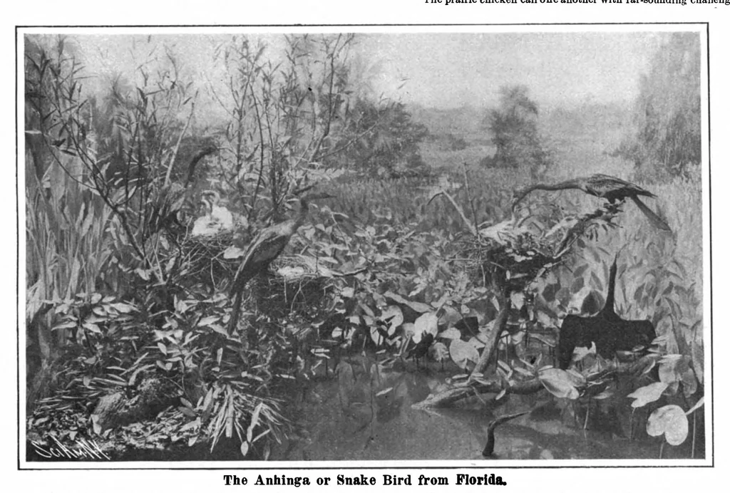 An illustration from Scientific American, Vol. 98, No. 19 (May 1908), 1908, leaf 8