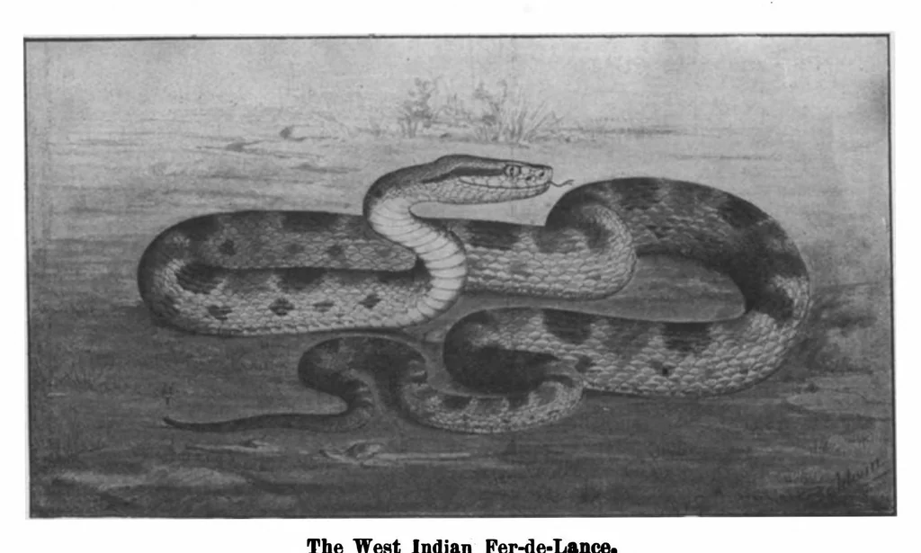 An illustration from Scientific American, Vol. 98, No. 21 (May 1908), 1908, leaf 9