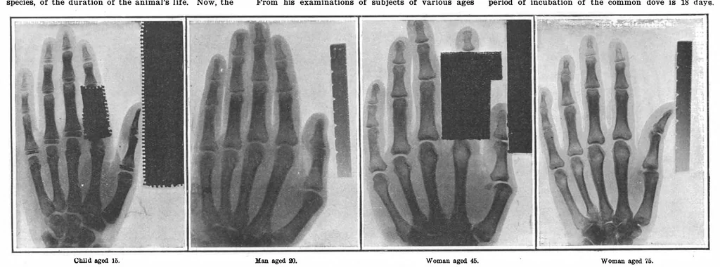 An illustration from Scientific American, Vol. 99, No. 6 (August 1908), 1908, leaf 10