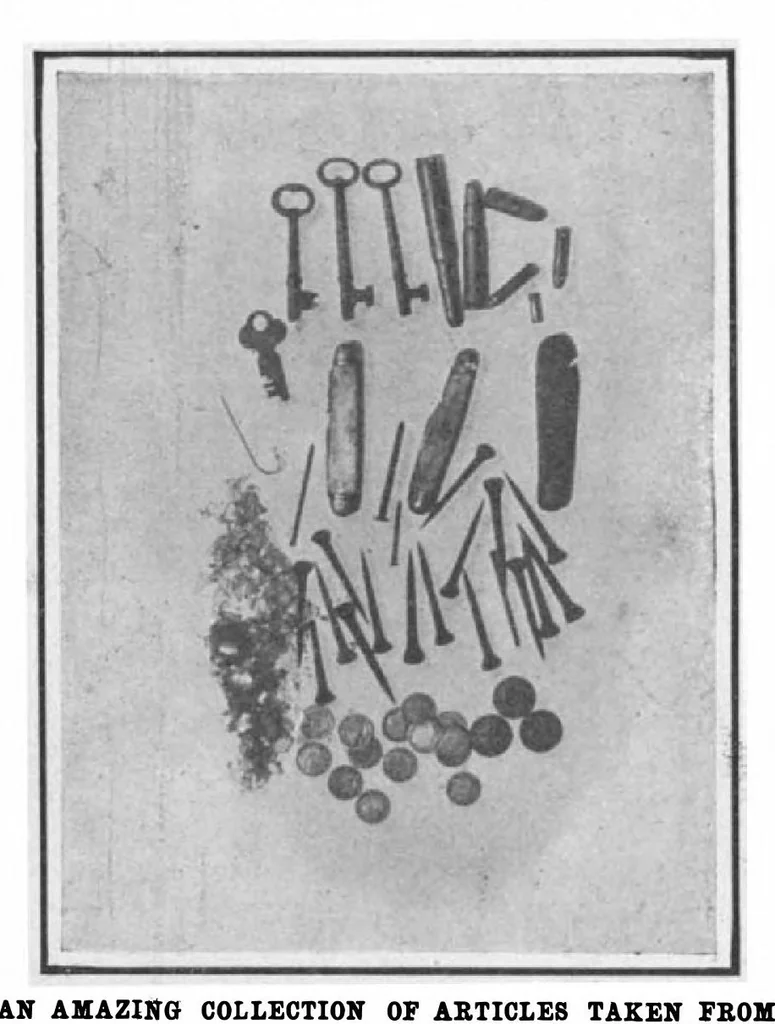 An illustration from Scientific American, Vol. 99, No. 9 (August 1908), 1908, leaf 6