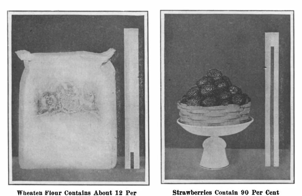 An illustration from Scientific American, Vol. 99, No. 14 (October 1908), 1908, leaf 7