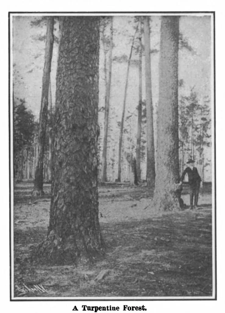 An illustration from Scientific American, Vol. 99, No. 15 (October 1908), 1908, leaf 8