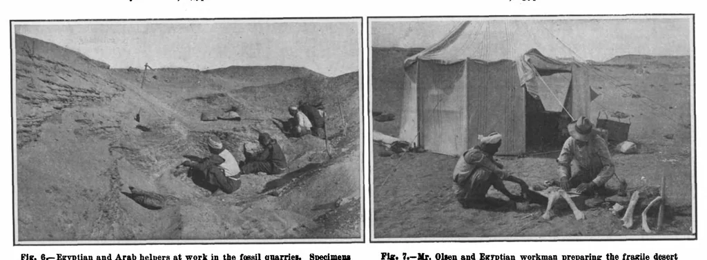 An illustration from Scientific American, Vol. 99, No. 16 (October 1908), 1908, leaf 8
