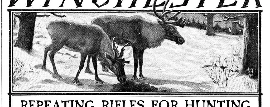 An illustration from Scientific American, Vol. 99, No. 19 (November 1908), 1908, leaf 18
