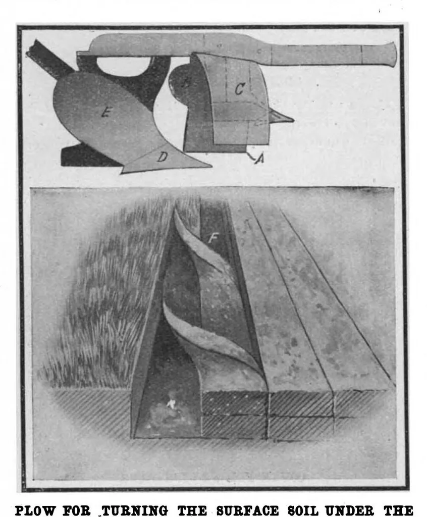 An illustration from Scientific American, Vol. 99, No. 20 (November 1908), 1908, leaf 10