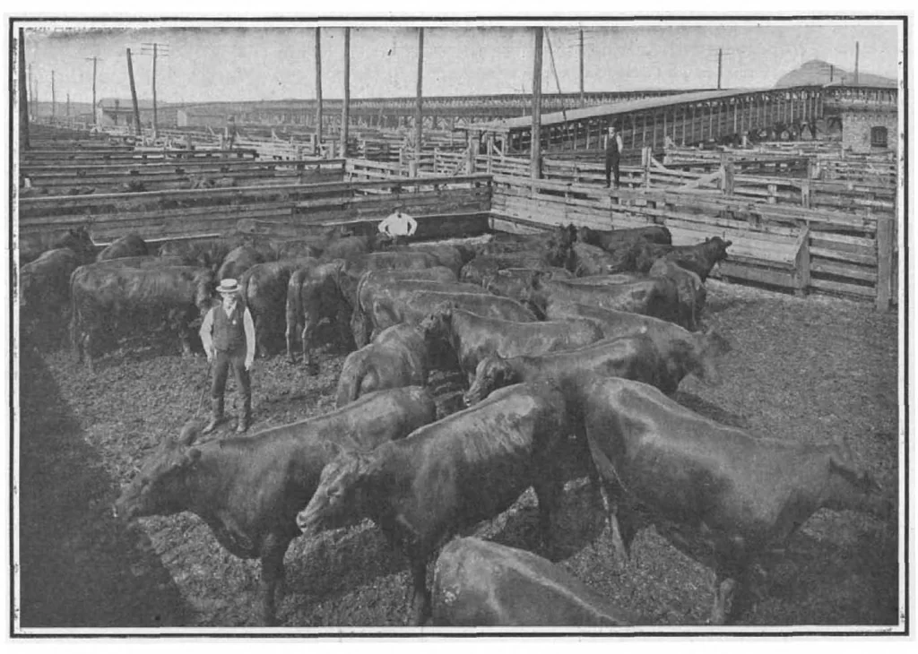 An illustration from Scientific American, Vol. 100, No. 4 (January 1909), 1909, leaf 7