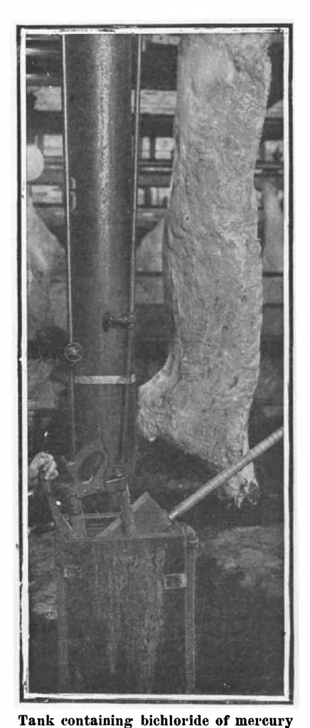 An illustration from Scientific American, Vol. 100, No. 4 (January 1909), 1909, leaf 8