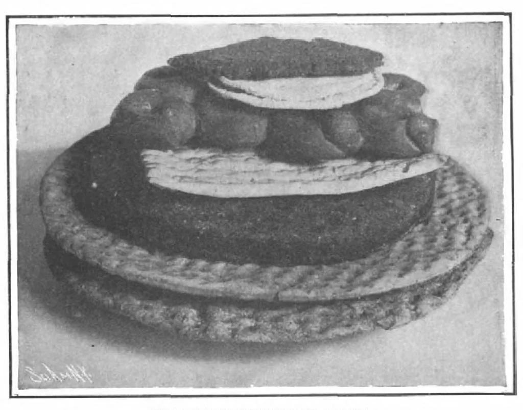 An illustration from Scientific American, Vol. 100, No. 5 (January 1909), 1909, leaf 10