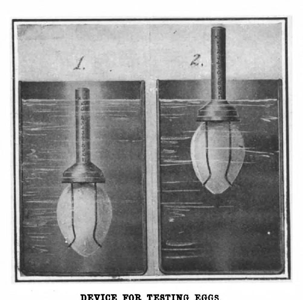 An illustration from Scientific American, Vol. 100, No. 5 (January 1909), 1909, leaf 11