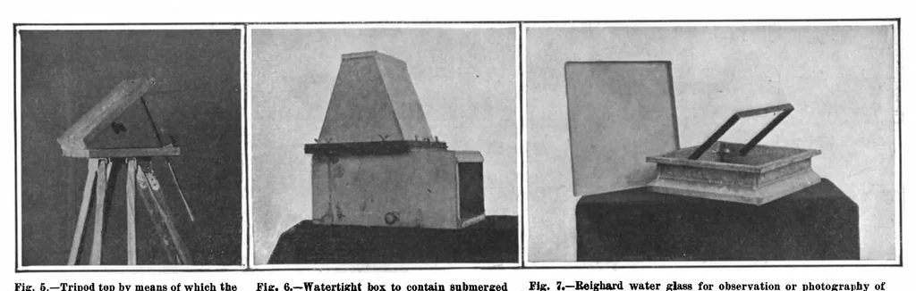 An illustration from Scientific American, Vol. 100, No. 7 (February 1909), 1909, leaf 9
