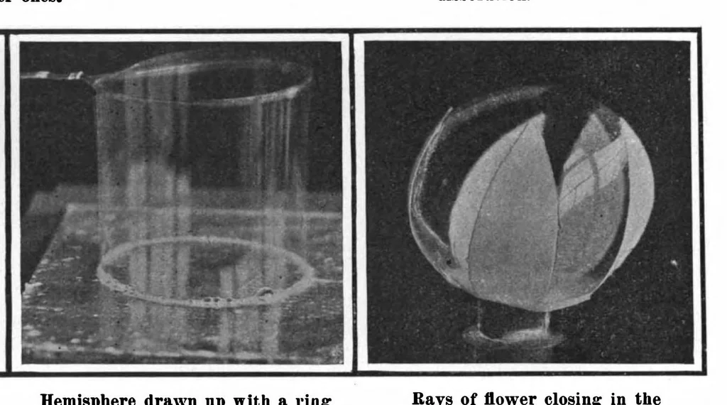 An illustration from Scientific American, Vol. 100, No. 18 (May 1909), 1909, leaf 8