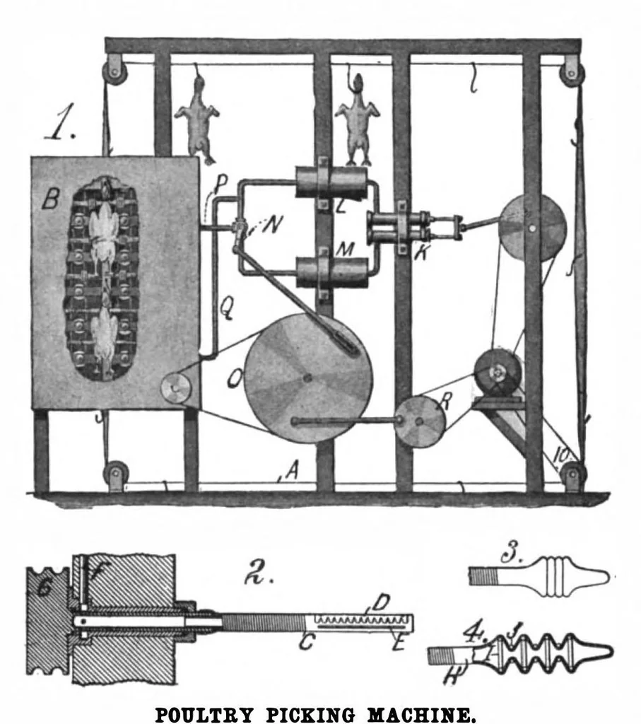 An illustration from Scientific American, Vol. 100, No. 22 (May 1909), 1909, leaf 10
