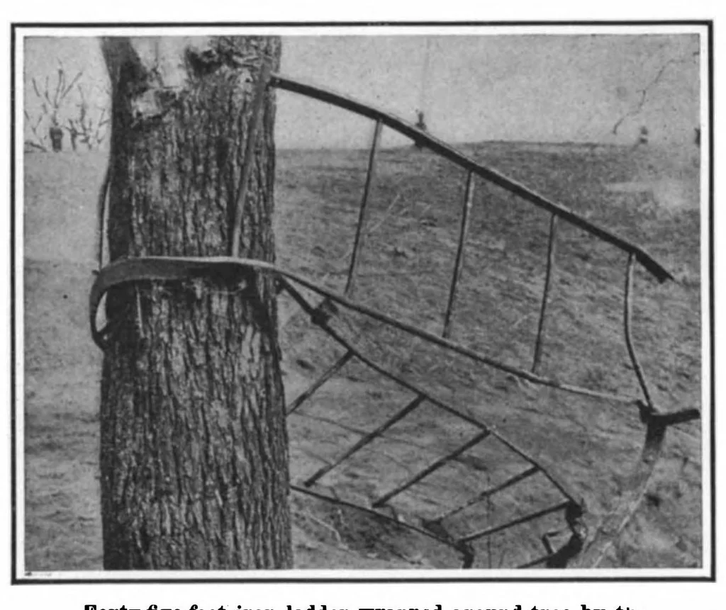 An illustration from Scientific American, Vol. 100, No. 23 (June 1909), 1909, leaf 3