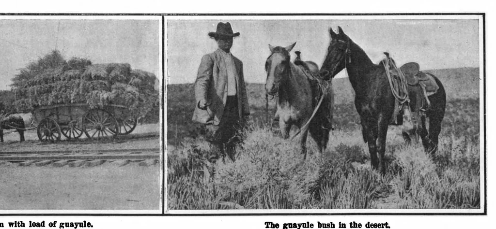 An illustration from Scientific American, Vol. 101, No. 2 (July 1909), 1909, leaf 3