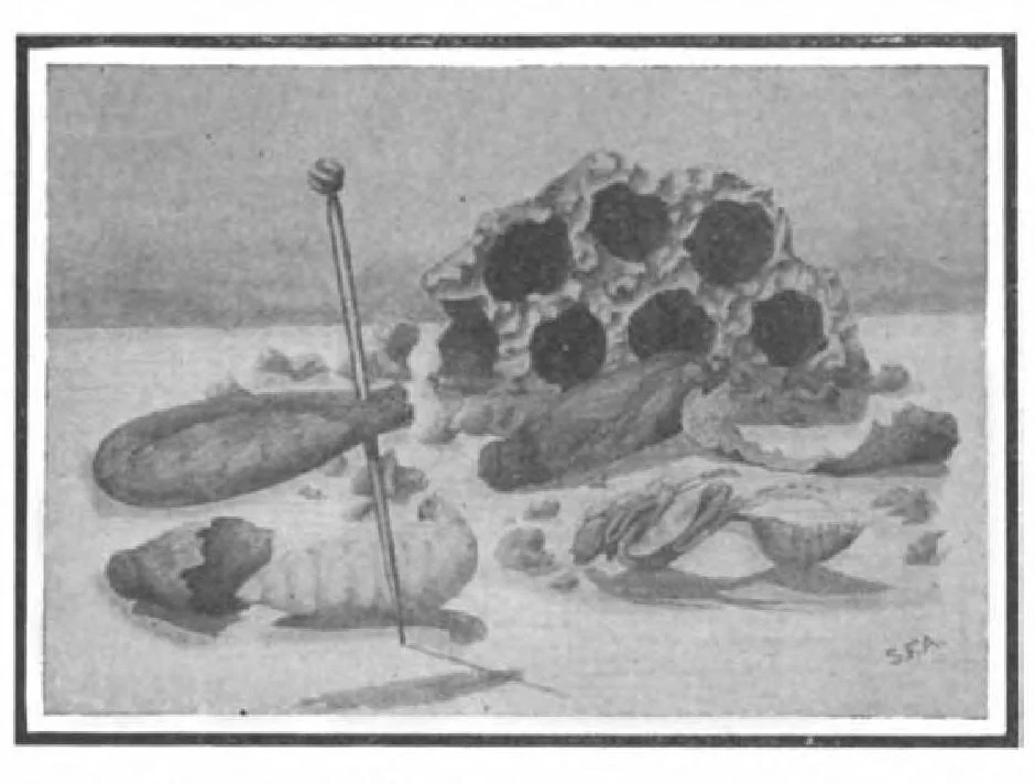 An illustration from Scientific American, Vol. 101, No. 6 (August 1909), 1909, leaf 9