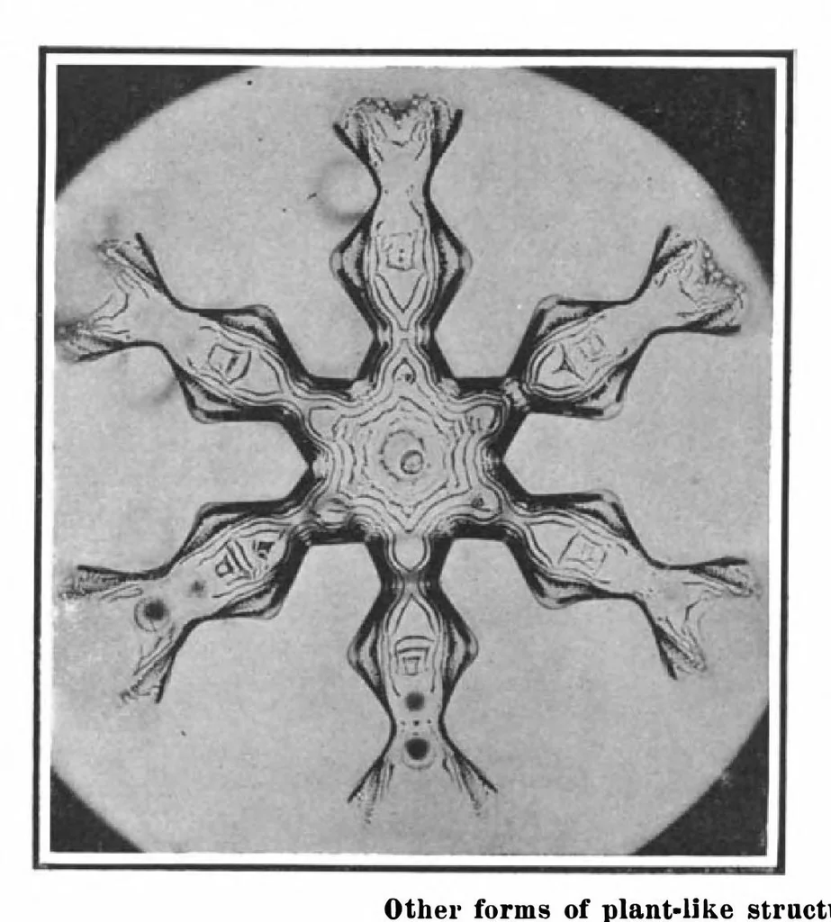 An illustration from Scientific American, Vol. 101, No. 7 (August 1909), 1909, leaf 4