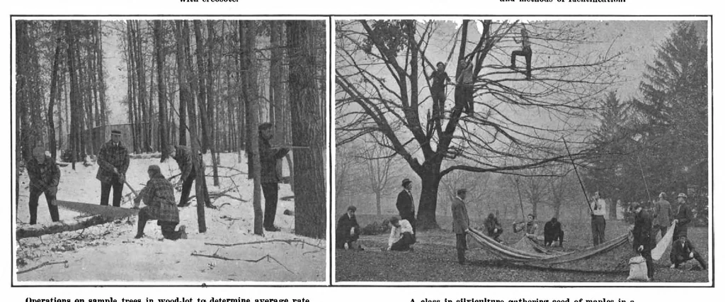 An illustration from Scientific American, Vol. 101, No. 7 (August 1909), 1909, leaf 8