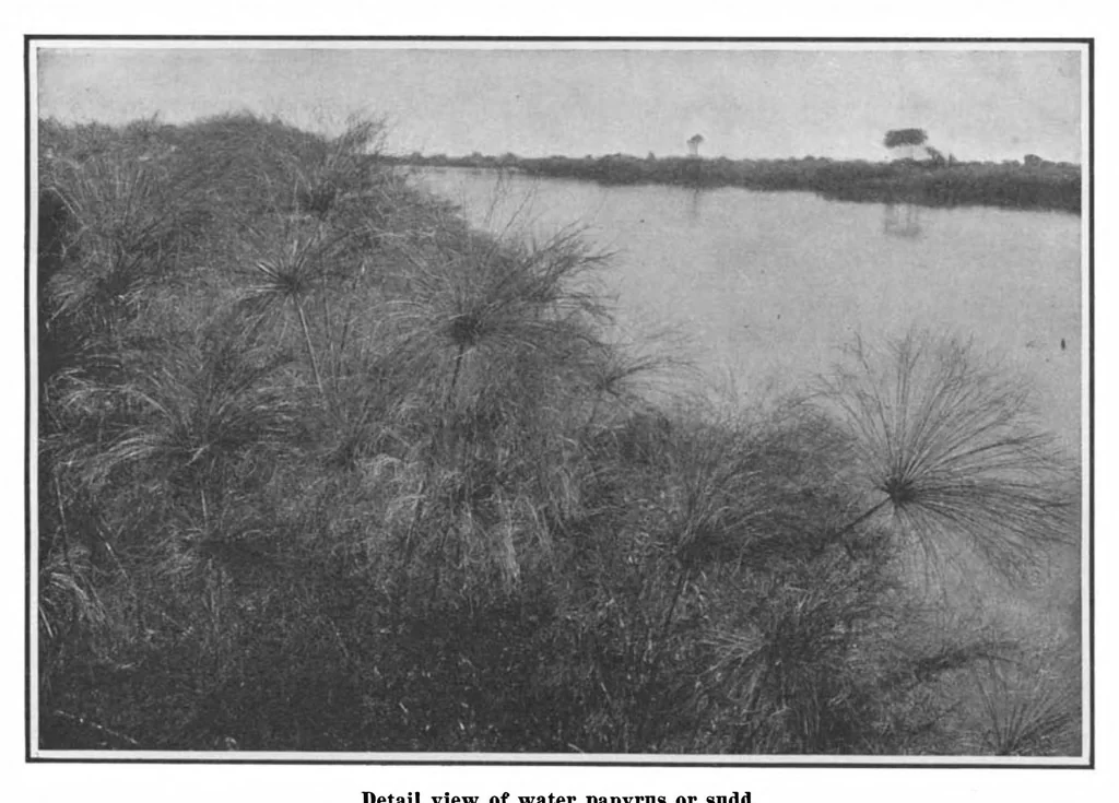 An illustration from Scientific American, Vol. 101, No. 11 (September 1909), 1909, leaf 4