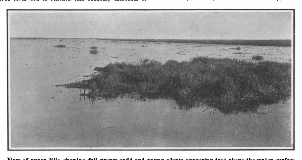 An illustration from Scientific American, Vol. 101, No. 11 (September 1909), 1909, leaf 4