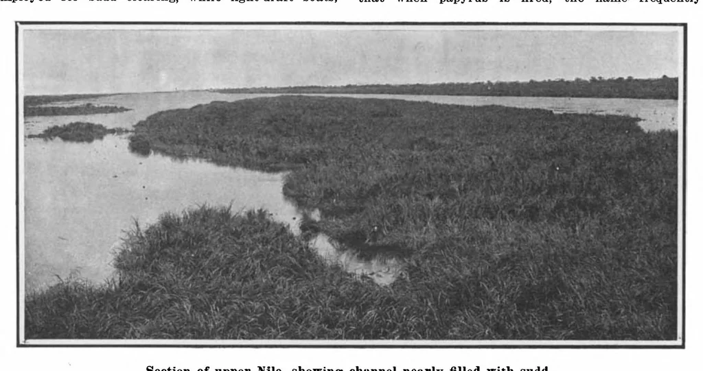 An illustration from Scientific American, Vol. 101, No. 11 (September 1909), 1909, leaf 4