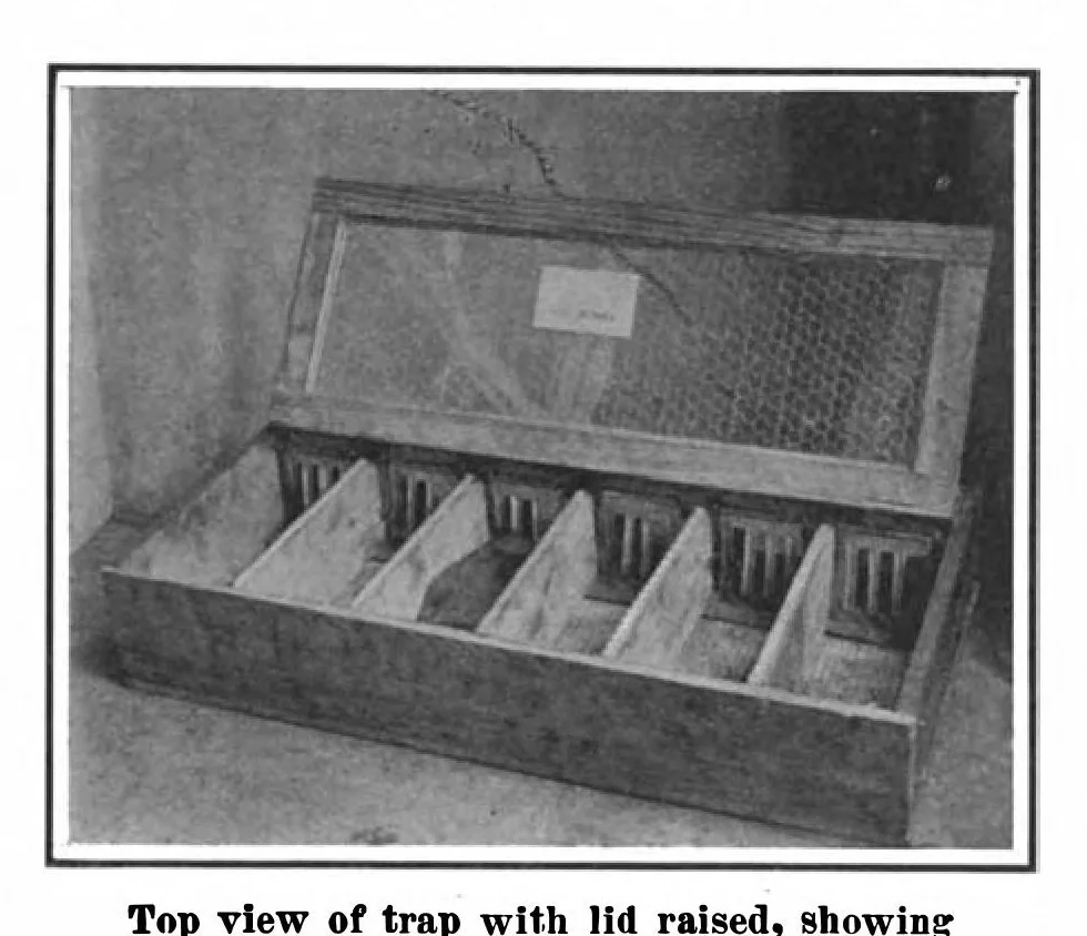 An illustration from Scientific American, Vol. 101, No. 12 (September 1909), 1909, leaf 3