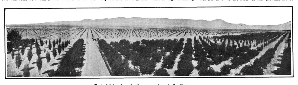 An illustration from Scientific American, Vol. 101, No. 15 (October 1909), 1909, leaf 7