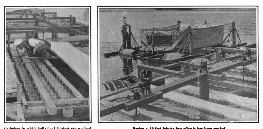 An illustration from Scientific American, Vol. 101, No. 16 (October 1909), 1909, leaf 4