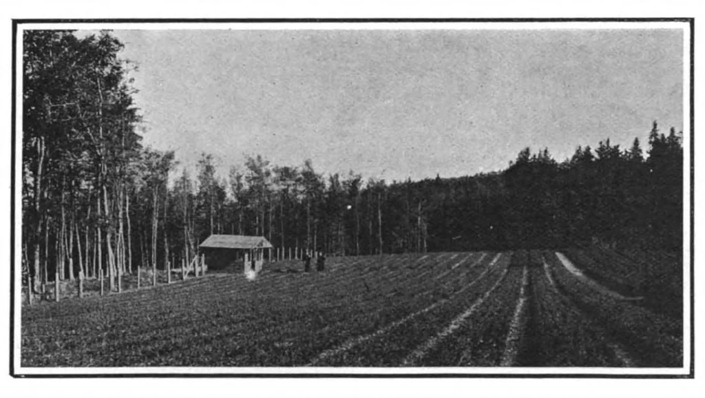 An illustration from Scientific American, Vol. 101, No. 18 (October 1909), 1909, leaf 7
