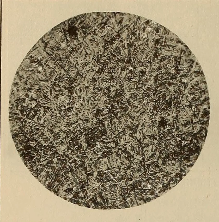 An illustration from Scientific American monthly, 1920, leaf 448