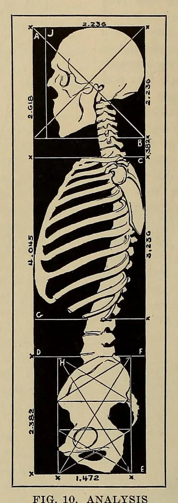 An illustration from Scientific American monthly, 1920, leaf 38