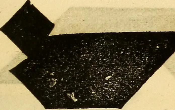 An illustration from Scientific amusements; for the old and the young, the grave and the gay, 1844, leaf 12