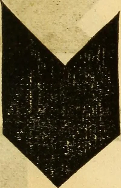 An illustration from Scientific amusements; for the old and the young, the grave and the gay, 1844, leaf 24