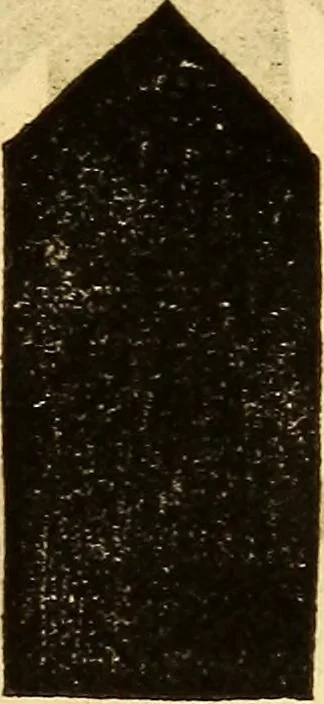 An illustration from Scientific amusements; for the old and the young, the grave and the gay, 1844, leaf 32