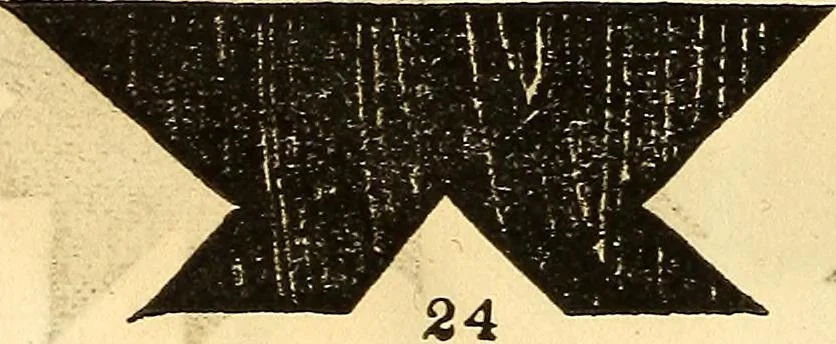 An illustration from Scientific amusements; for the old and the young, the grave and the gay, 1844, leaf 35