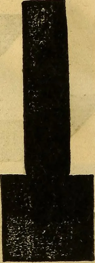 An illustration from Scientific amusements; for the old and the young, the grave and the gay, 1844, leaf 37