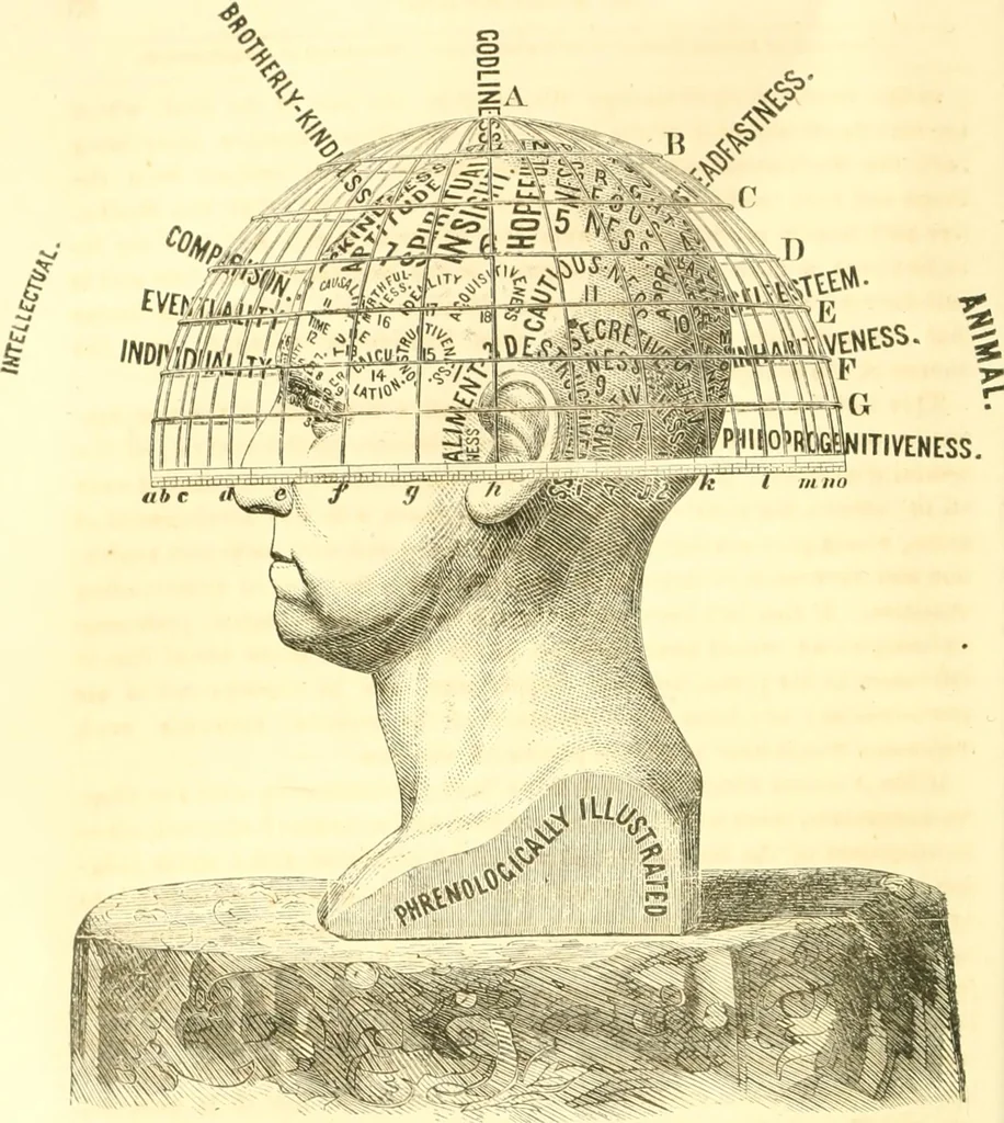 An illustration from The scientific basis of education demonstrated. By an analysis of the temperaments and of phrenological facts, in connection with mental phenomena and the office of the Holy Spirit in the processes of the mind: in a series of letters, to the Department of public instruction in the city of New York, by John Hecker, 1867, leaf 105